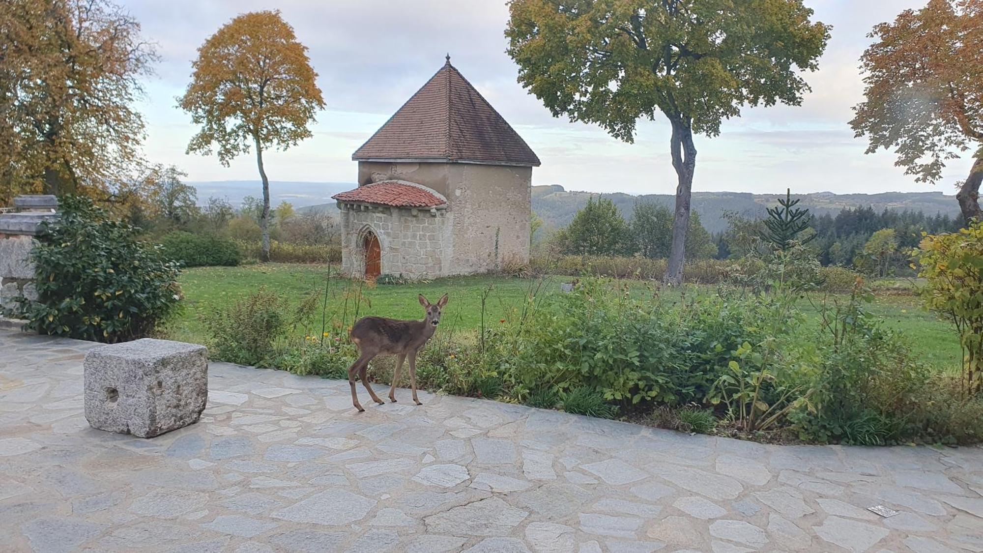 Bed and Breakfast Domaine De Montvianeix Saint-Victor-Montvianeix Exteriér fotografie